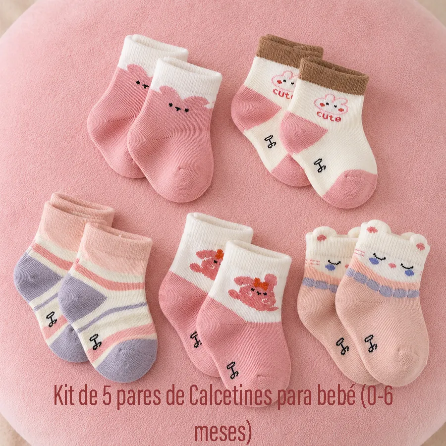 CD1003 EDICION 12306